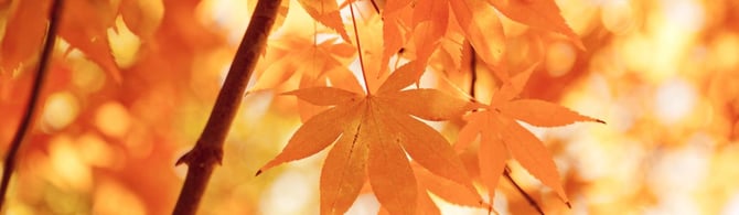 The Black Hills in September: Ultimate Fall Vacation