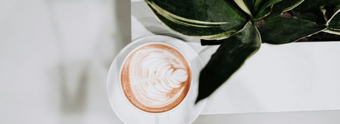 Best Coffee Shops in the Black Hills