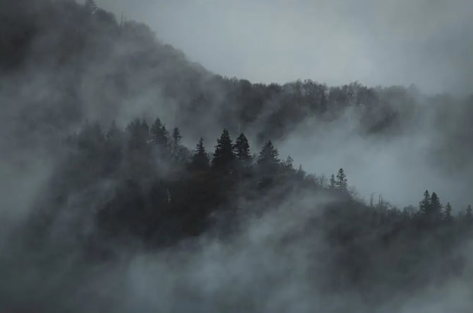 The Black Hills in October: Ultimate Fall Vacation