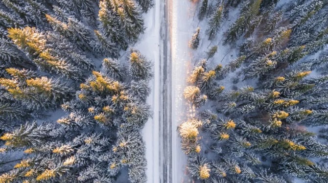 The Black Hills in February: Ultimate Winter Vacation