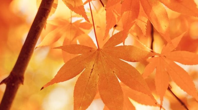 The Black Hills in September: Ultimate Fall Vacation