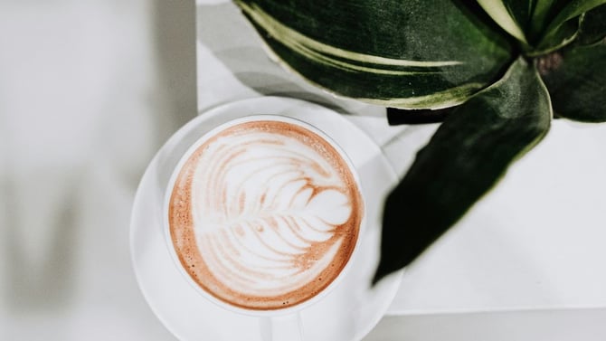 Best Coffee Shops in the Black Hills