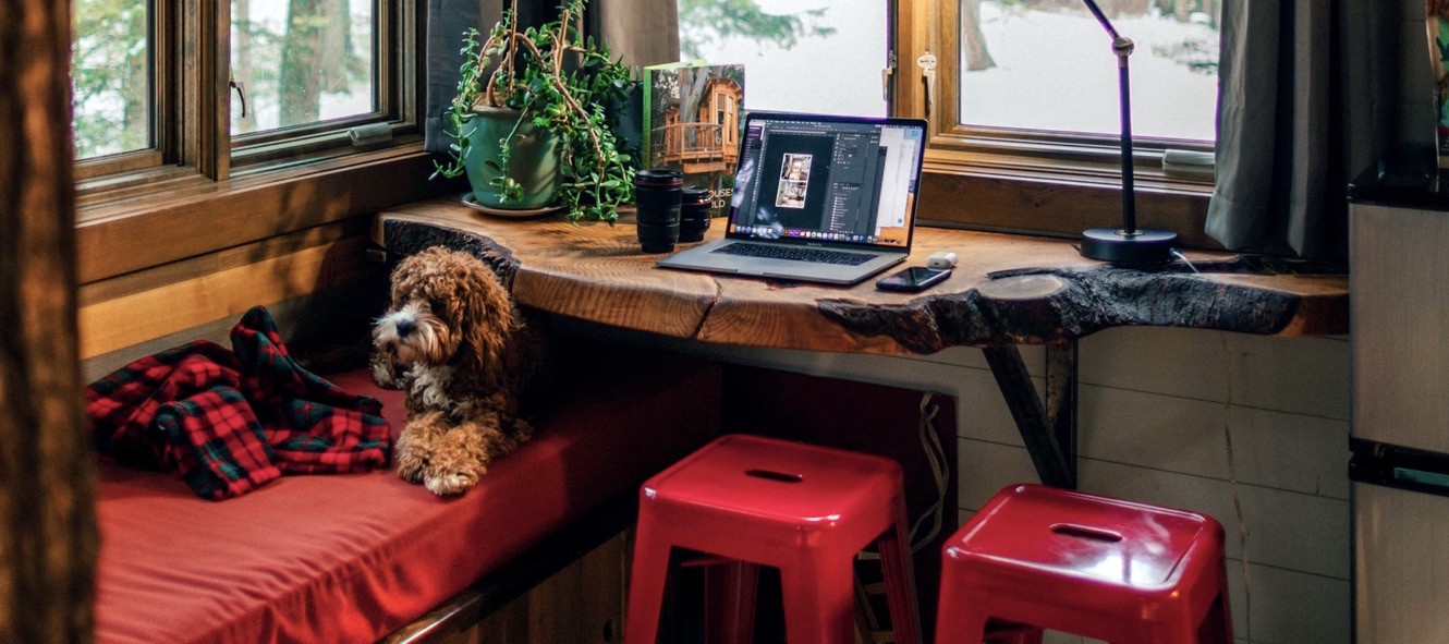 Black Hills Property Management Trailhound Cabin Co