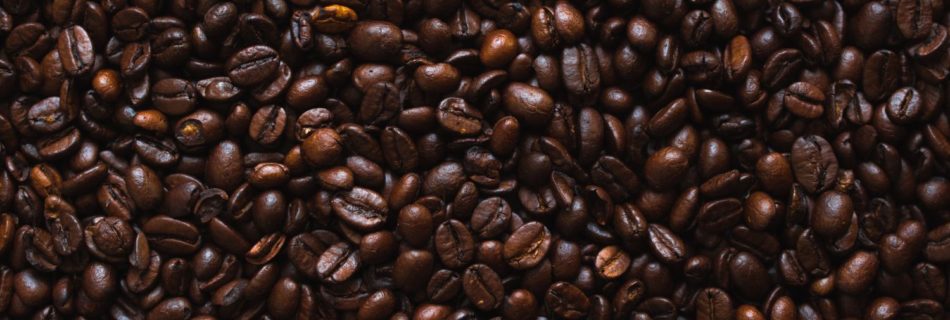 Dark Canyon Coffee Co